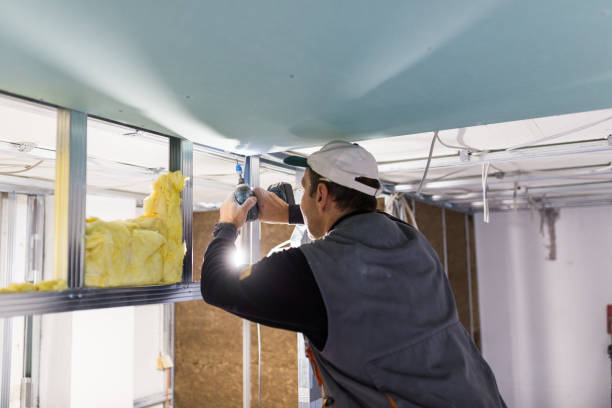 Best Residential Insulation in Archdale, NC